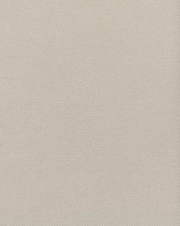 notion Fog Sno