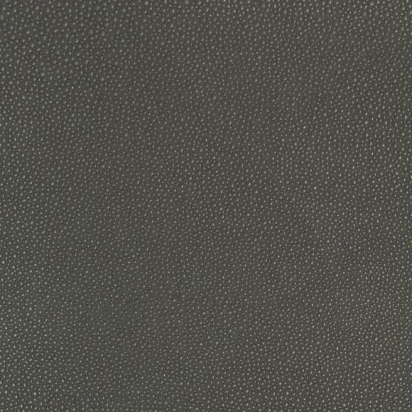 shagreen Fossil Ssh