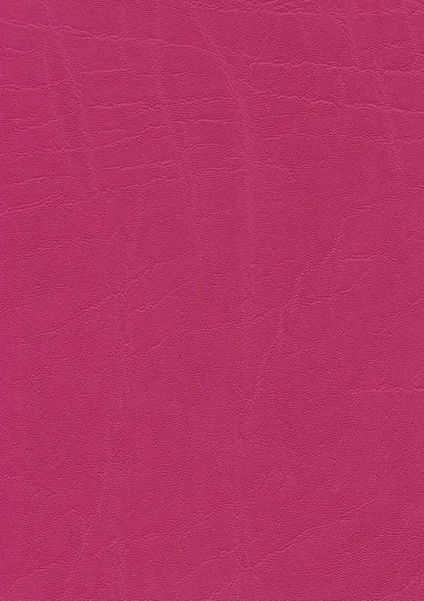 plata Fuchsia