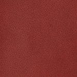 Garnet WCL-011