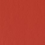Geranium 538860