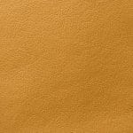 Gold Mine COHCY-9243