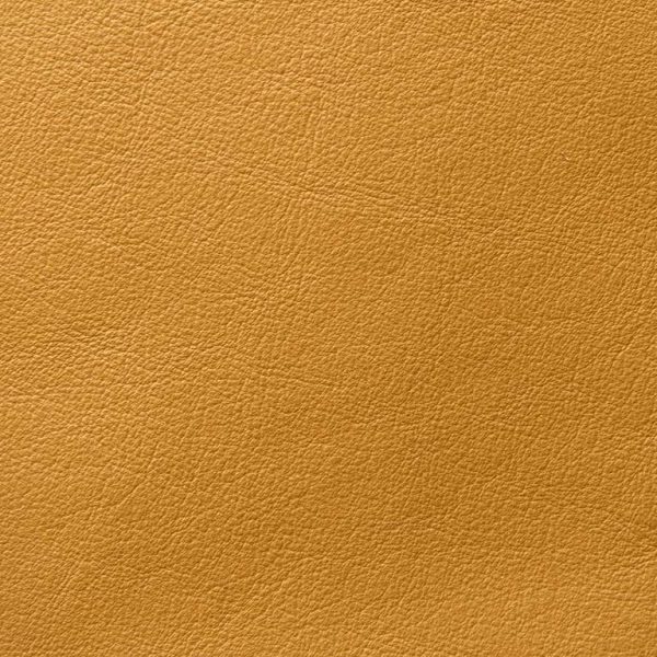 harmony eco leather Gold Mine Cohcy
