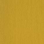 Golden 538858