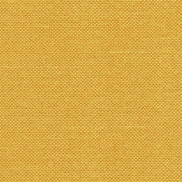 maglia Goldenrod Mag