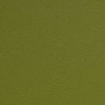 Granny-Smith-SCL-213