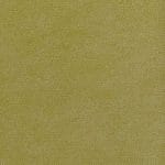 Grassland SNO-014