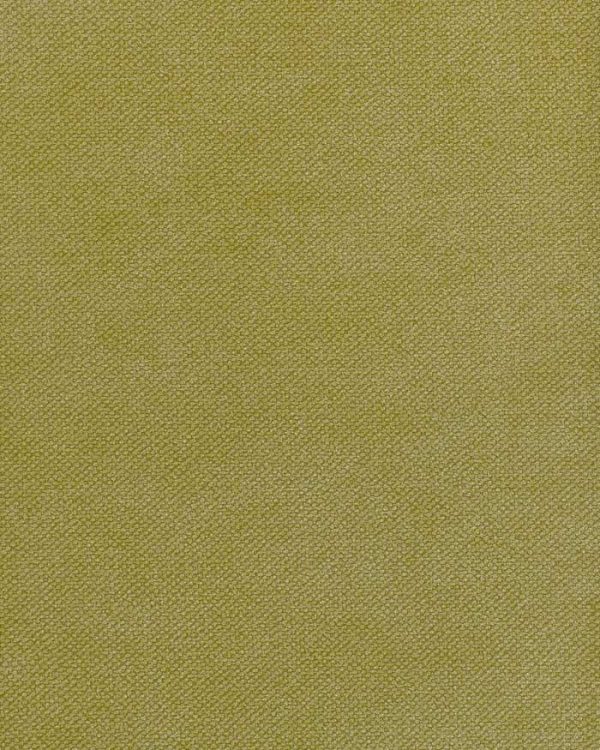 notion Grassland Sno