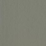 Gray 539076