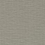 Gray Pine 539563