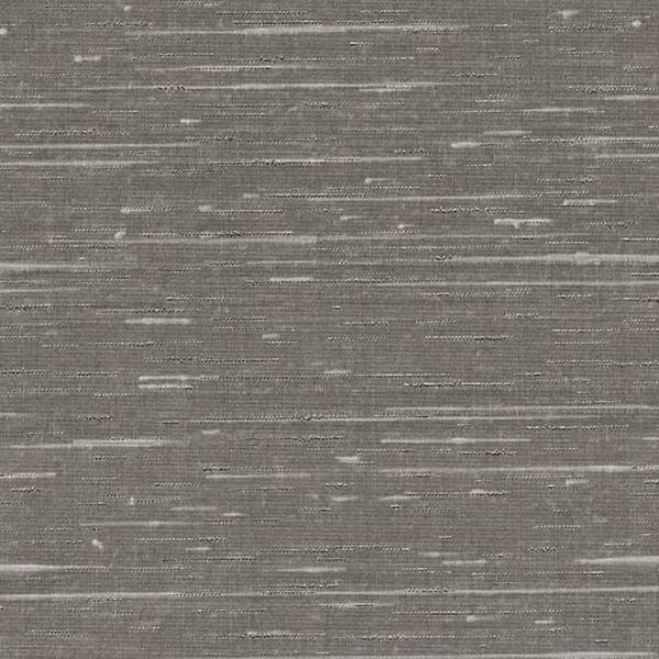 trace Gull