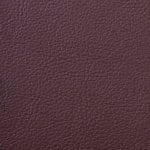 HAZELNUT SCL-021