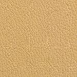 Honey 520966