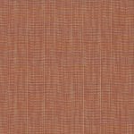 Salsa INT-5405