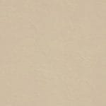 Titan Neutral ISL-9179