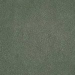 Jalapeno-TPE-015