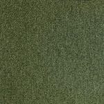 Kale MGRS-10