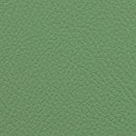 Keylime 514982