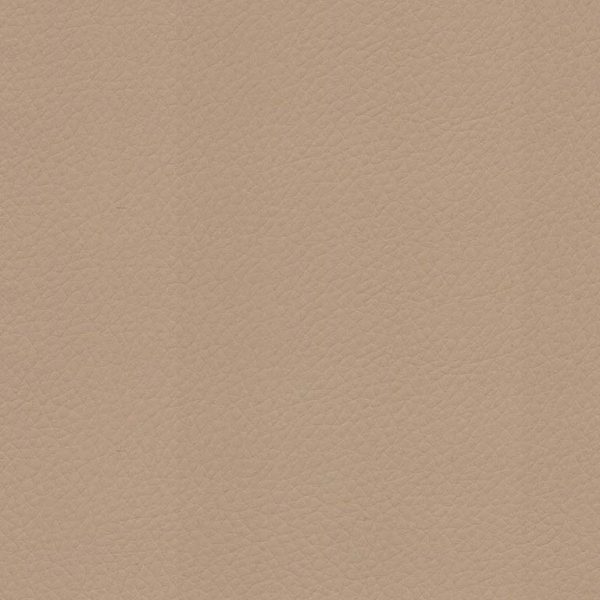 premier Khaki