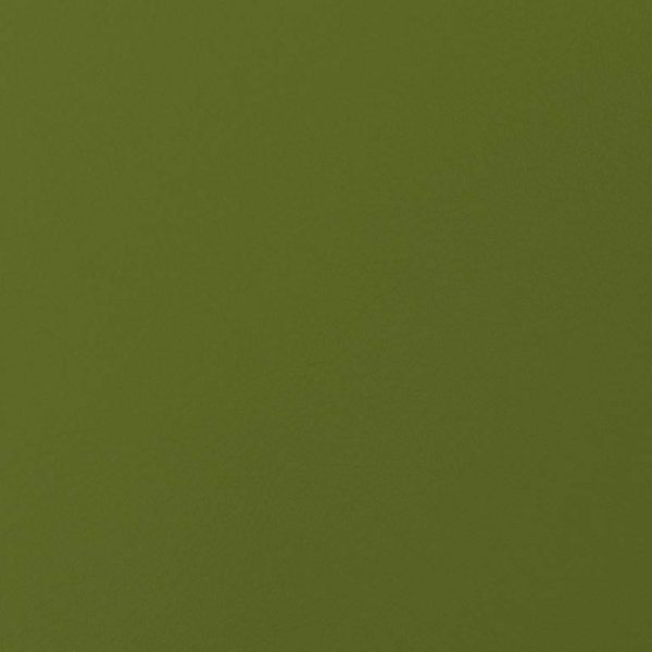 envision Kiwi