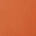Kumquat EVE-146