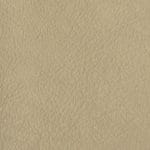 Latte PHE-008