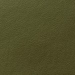 Leaf COHCY-9255
