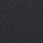 Licorice 514681