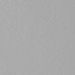 Light Gray 514113