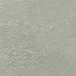 Lightgrey