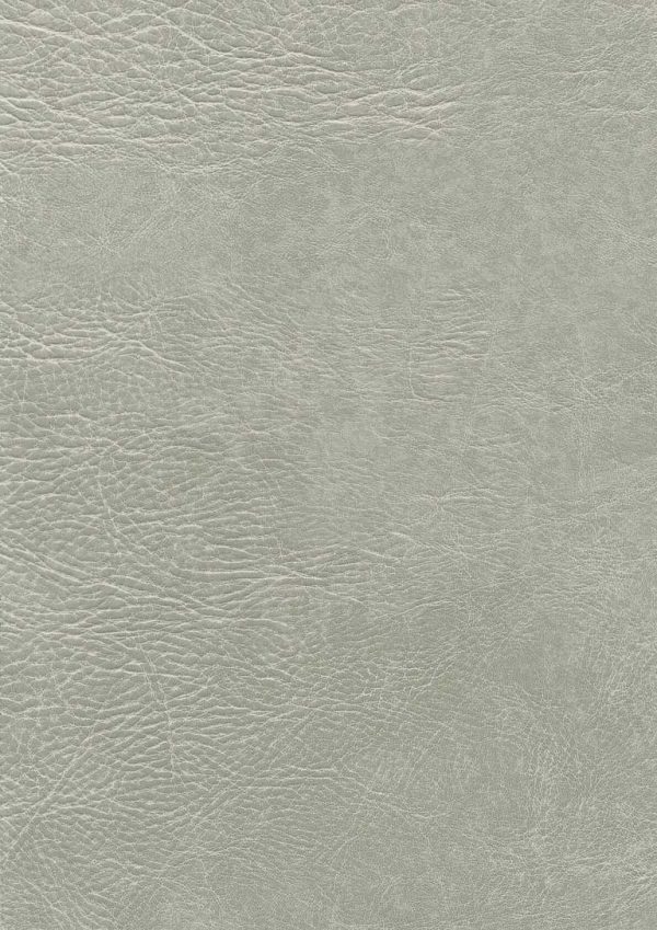 pavinto Lightgrey