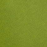 Lime 858