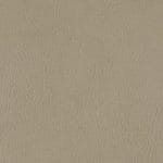 Linseed-WHM-005