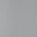 Lite Gray 539068