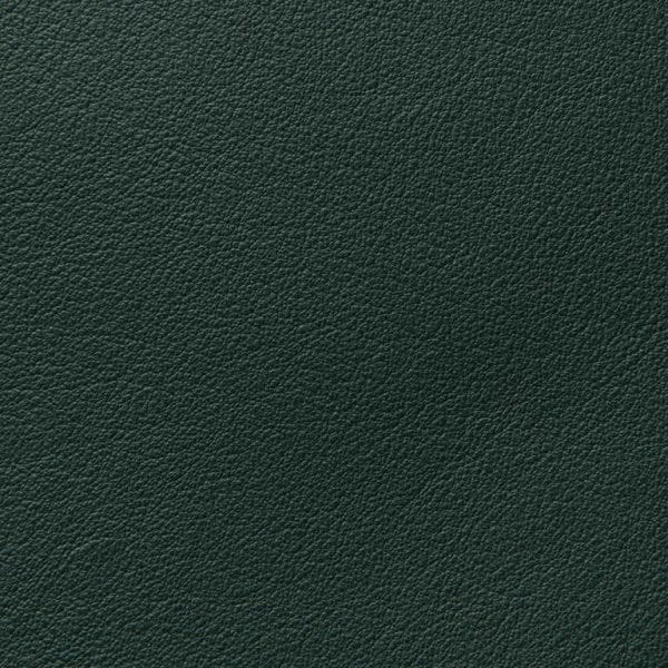 harmony eco leather Loden Cohcy