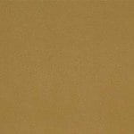 Maize-TPE-016