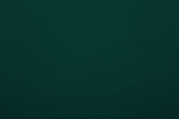 marine acrylic fabric Kelly Green