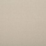 Pearl Mist 1105