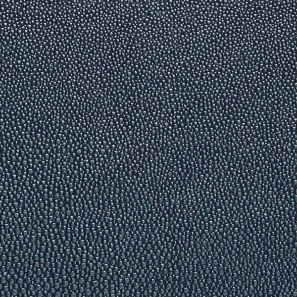 shagreen Marlin Ssh