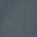 Meridian-TPE-018