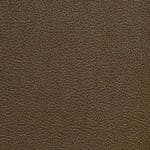Morel-SCL-219