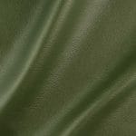 Moss-CPKCY-9746