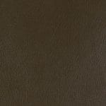 Moss-WHM-008