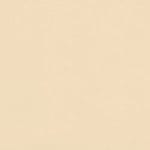 Parchment NAV-9894