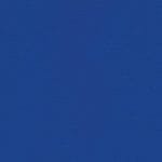 Blue Ribbon NAV-9901