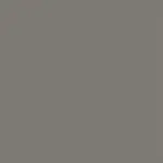 Medium Dark Pewter NUA-2461