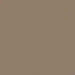 Medium Neutral NUA-2463