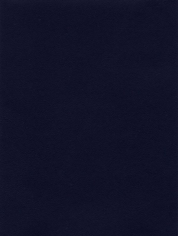 theory Navy