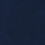 Navy 519029