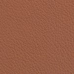Nutmeg 514732